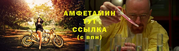 apvp Алексин