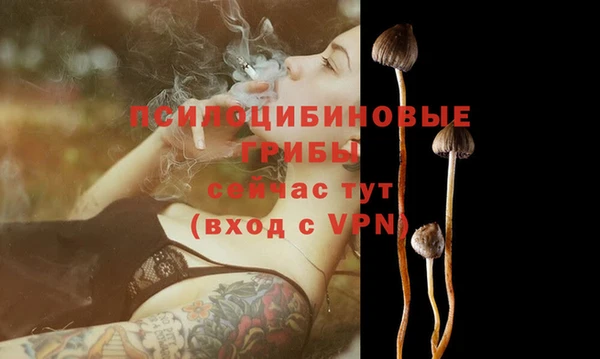 apvp Алексин