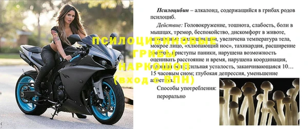 apvp Алексин