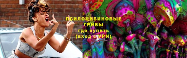 дмт Алзамай