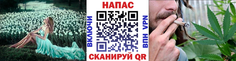Бошки Шишки индика Чадан